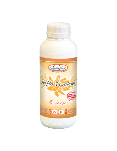 Soffio Tropicale Essenza Lt.1